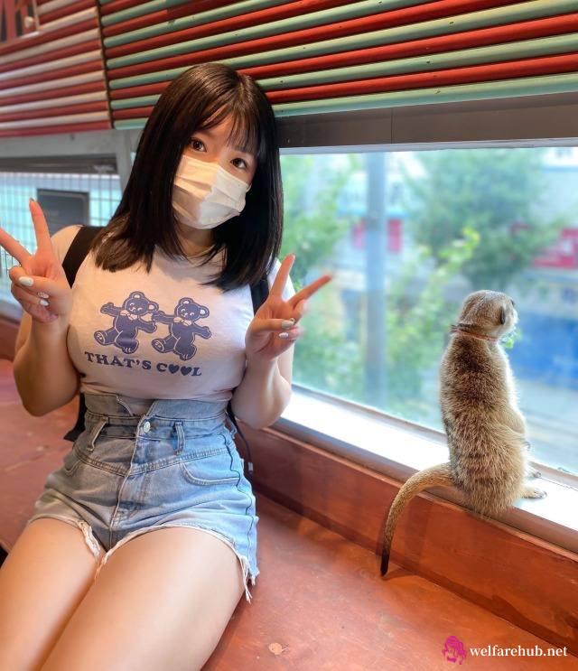 吃瓜黑料视频永久！ave mujica 曲风